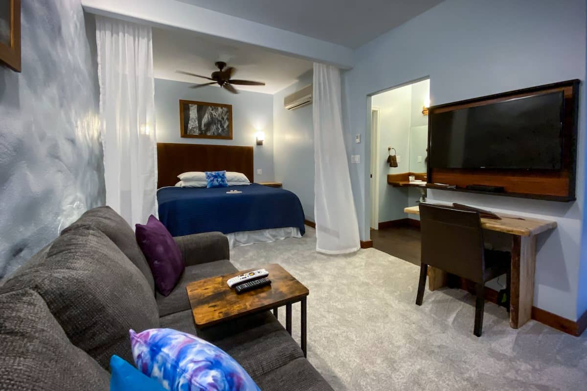 A hotel room with a bed, a TV, a desk, and a couch.