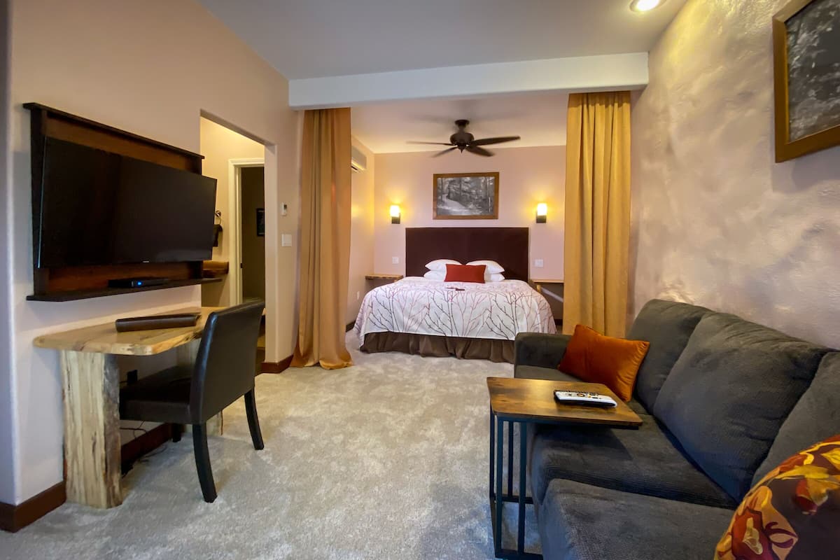 A hotel room with a bed, a TV, a desk, and a sofa.