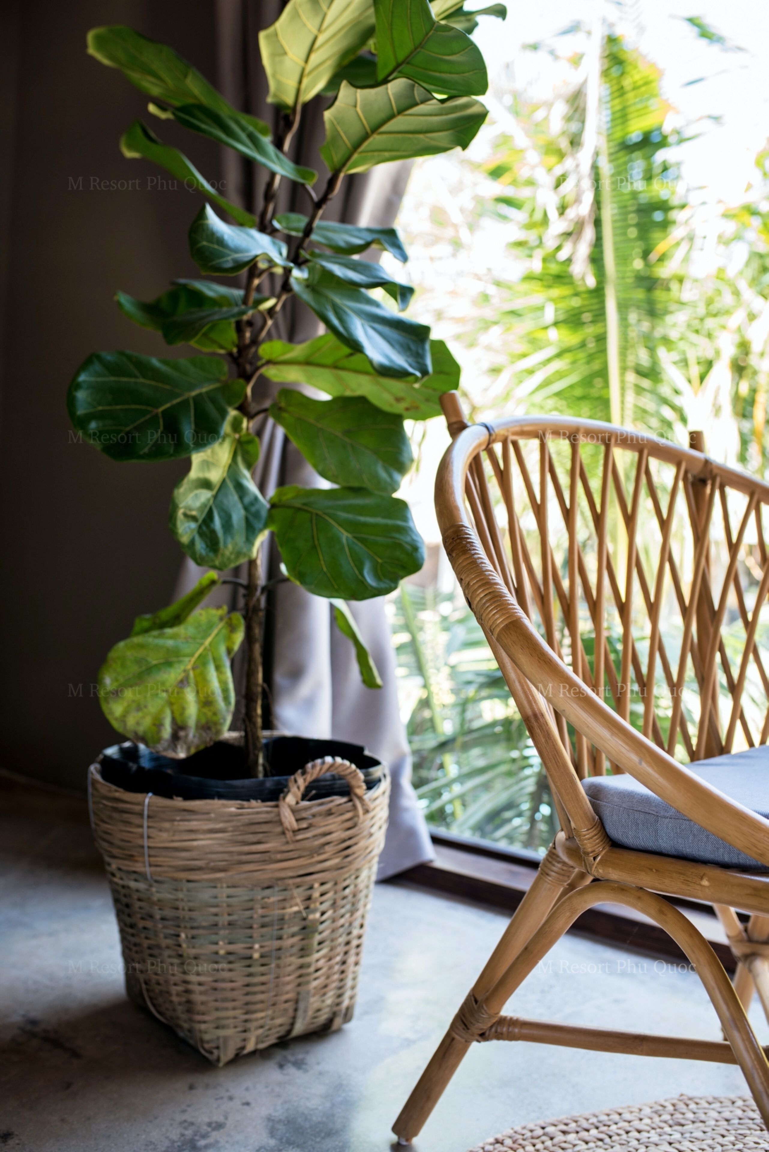 exotic joy twin house | living room | 43-inch lcd tv with cable channels, tv