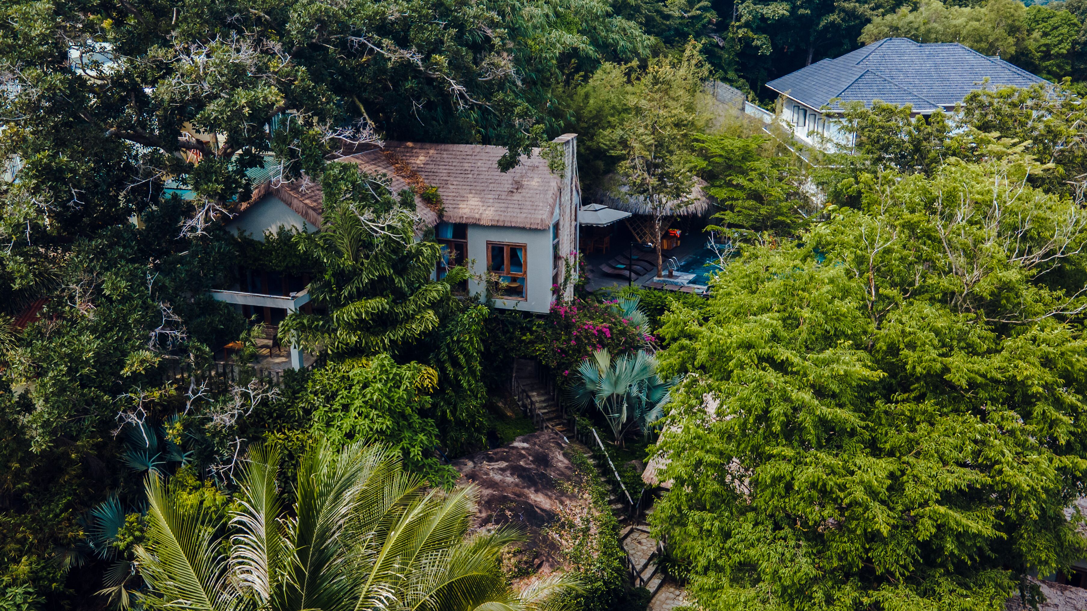 confetti house | view from room