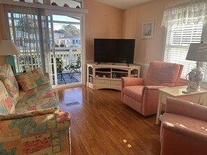 Smart TV, DVD player, books, video library