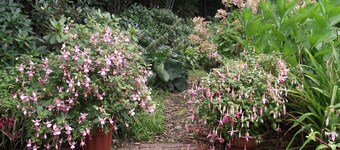 Schönes Ferienhaus mit großem Garten