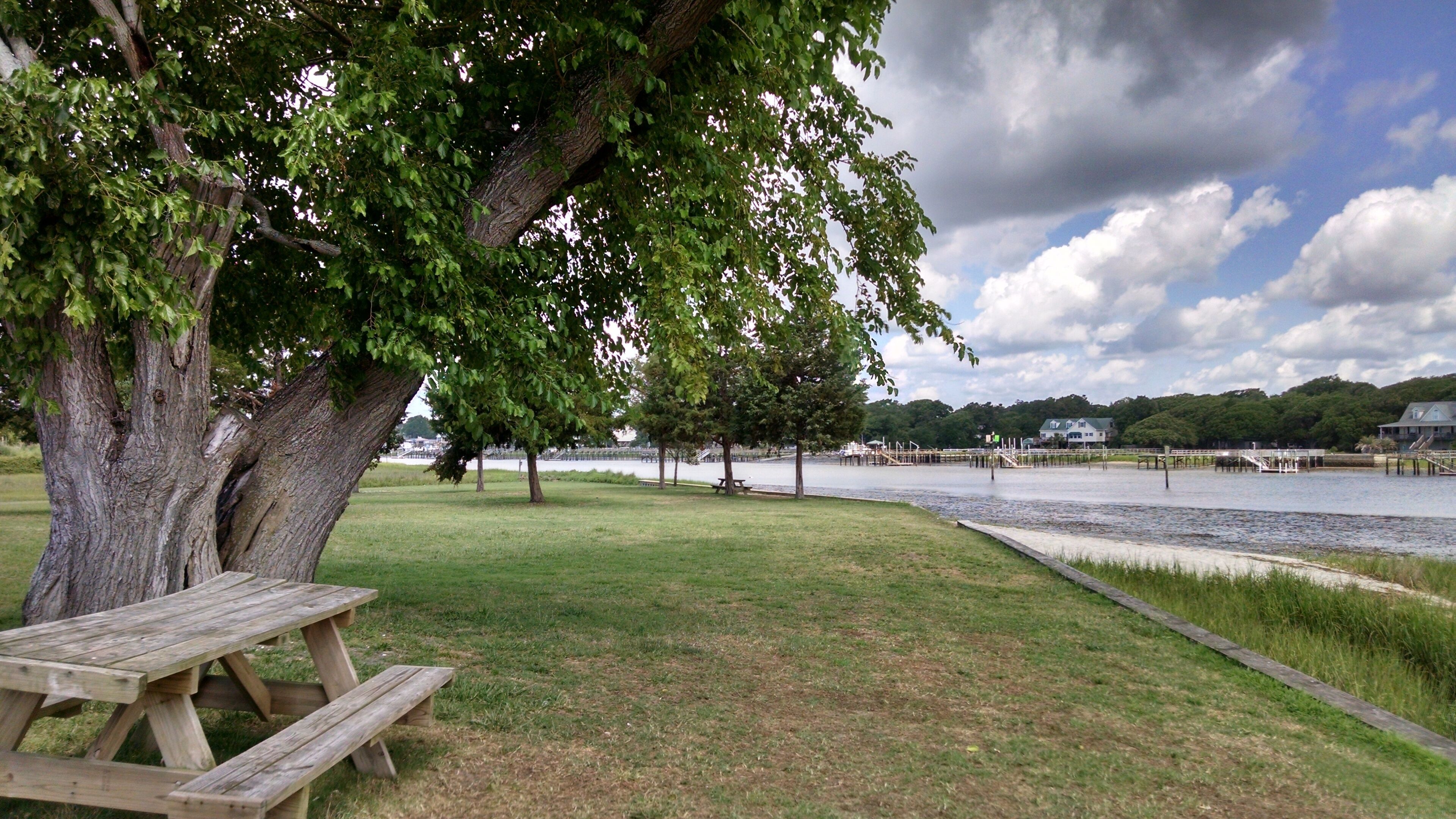 Una mesa de picnic bajo un árbol grande junto a un lago con un muelle y casas al fondo.