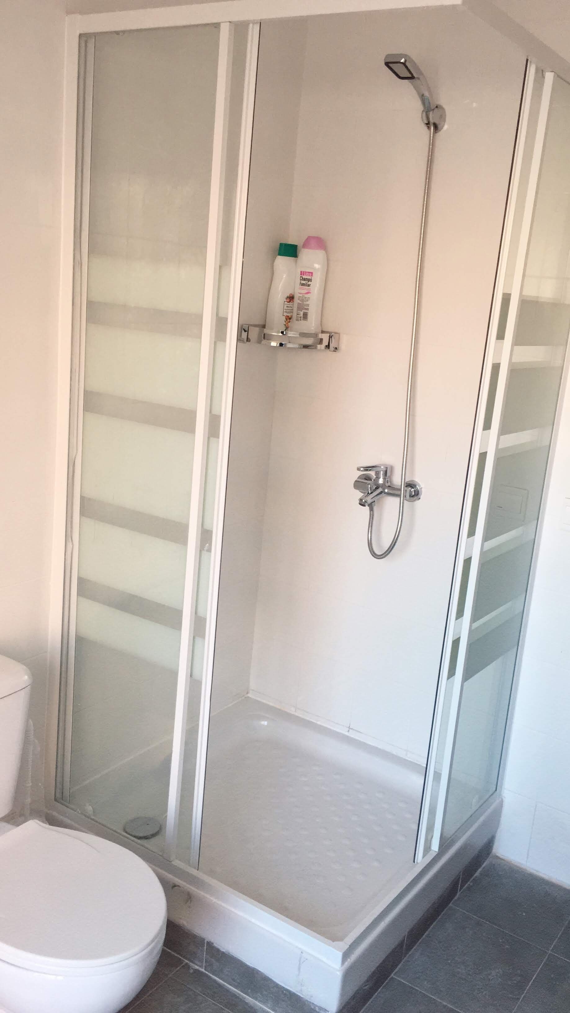 Une douche en verre avec un pommeau de douche à main et un robinet mural. Une étagère contient deux bouteilles de shampoing et d’après-shampoing.
