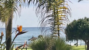A tropical garden with palm trees and a view of the ocean. - MI CAPRICHO 12  BEACHFRONT APARTMENT (Mijas)