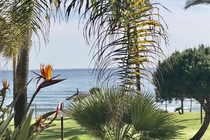 Property grounds - MI CAPRICHO 12  BEACHFRONT APARTMENT (Mijas)