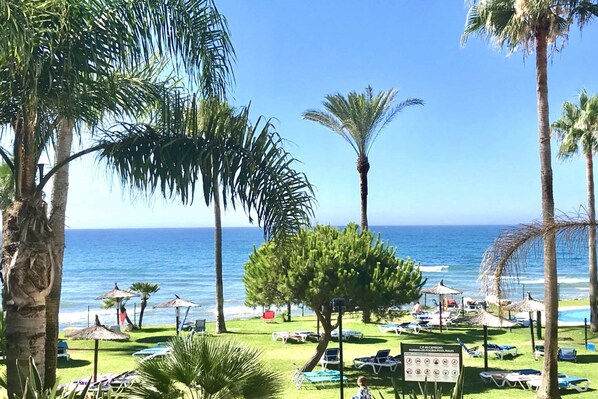 Un complexe hôtelier en bord de mer, agrémenté de palmiers, de chaises longues et de parasols.