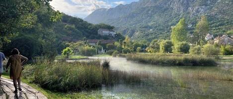 A river with a wooden path on the left, surrounded by greenery and mountains in the background.