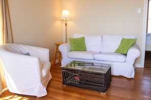 Smart TV, DVD player, books, video library