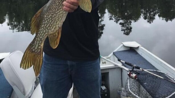 Eine Person hält einen großen Fisch neben einem stillen See, im Hintergrund ein Boot.