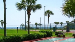 A park with a shuffleboard court, benches, and palm trees.
