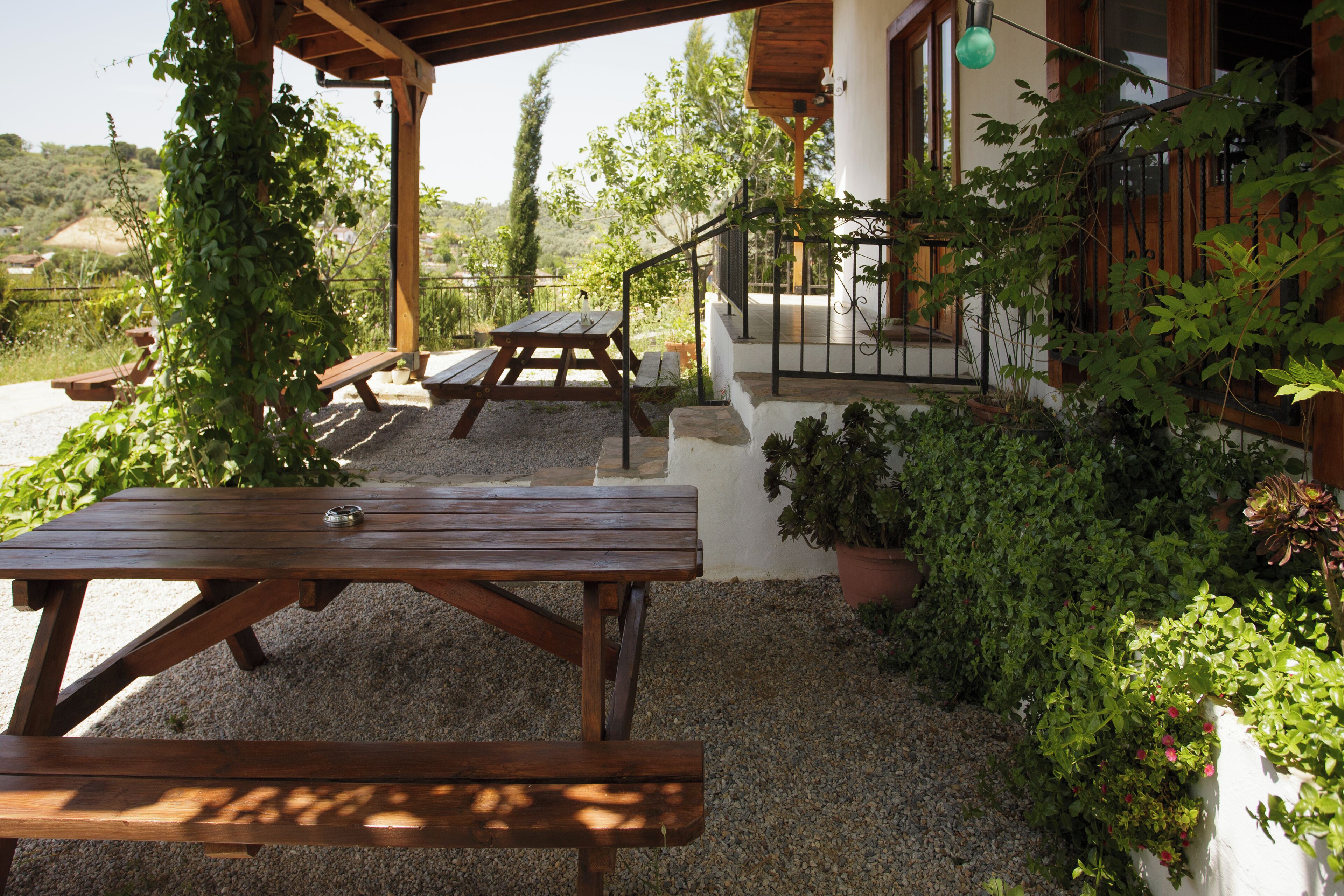 A covered outdoor seating area with wooden picnic tables and benches, surrounded by potted plants and a view of the countryside.