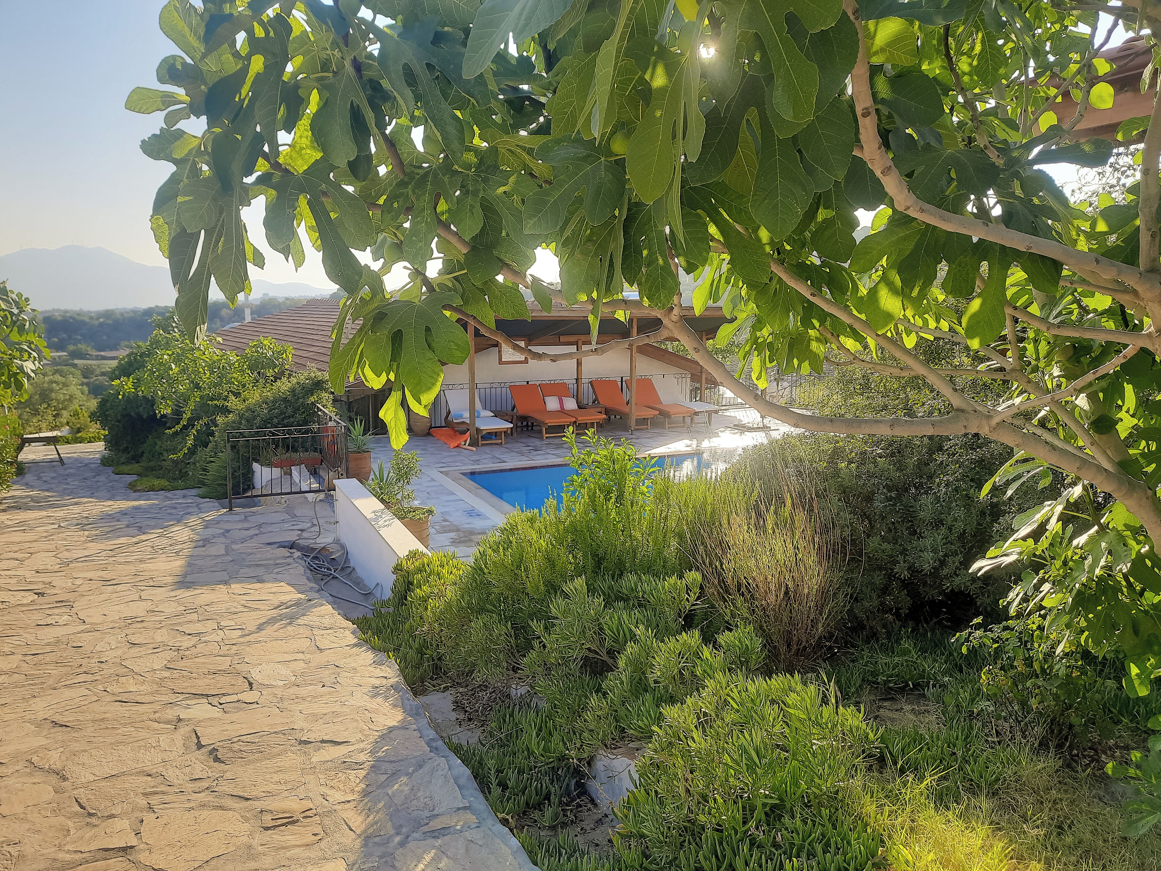 A pool area with lounge chairs and a covered seating area, surrounded by greenery and a view of distant mountains.