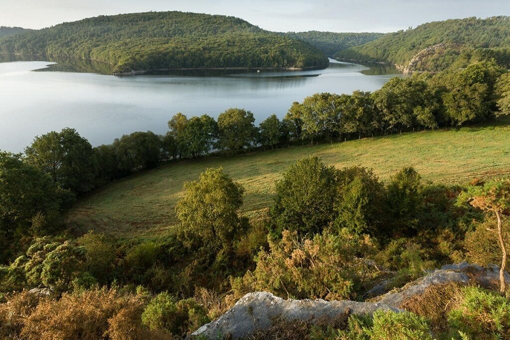 Un paysage naturel caractérisé par un lac, des collines douces et une forêt dense.