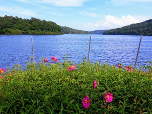 Property grounds - Tranquil rural farmhouse gite with large garden and terrace (Plussulien)