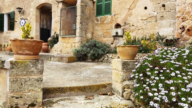A stone building with a rustic entrance, steps leading up to a door, and potted plants. - Cottage in the middle of nature (Petra)