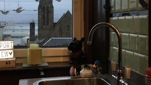 Eine Küche mit Spüle aus Edelstahl, einem Fenster mit Blick auf eine Kirche und einer dekorativen Froschfigur.