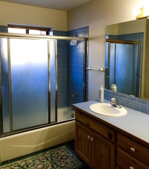 Combined shower/bathtub, jetted bath, hair dryer, towels - Mountain  Majesty Home Durango, CO (Hesperus)