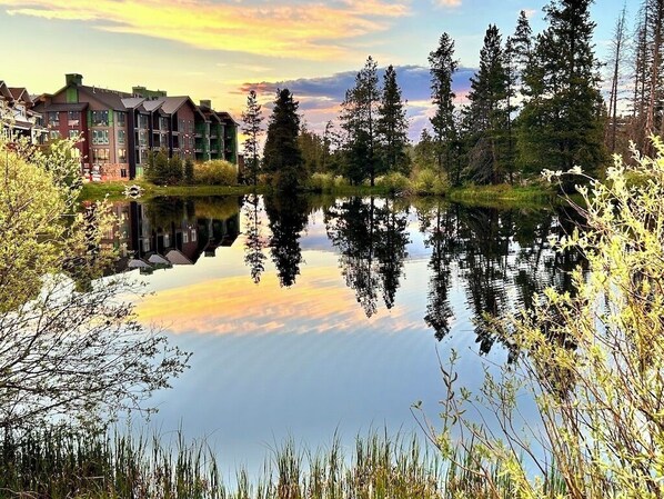 A serene lakeside view with a reflection of buildings and trees, surrounded by lush greenery.