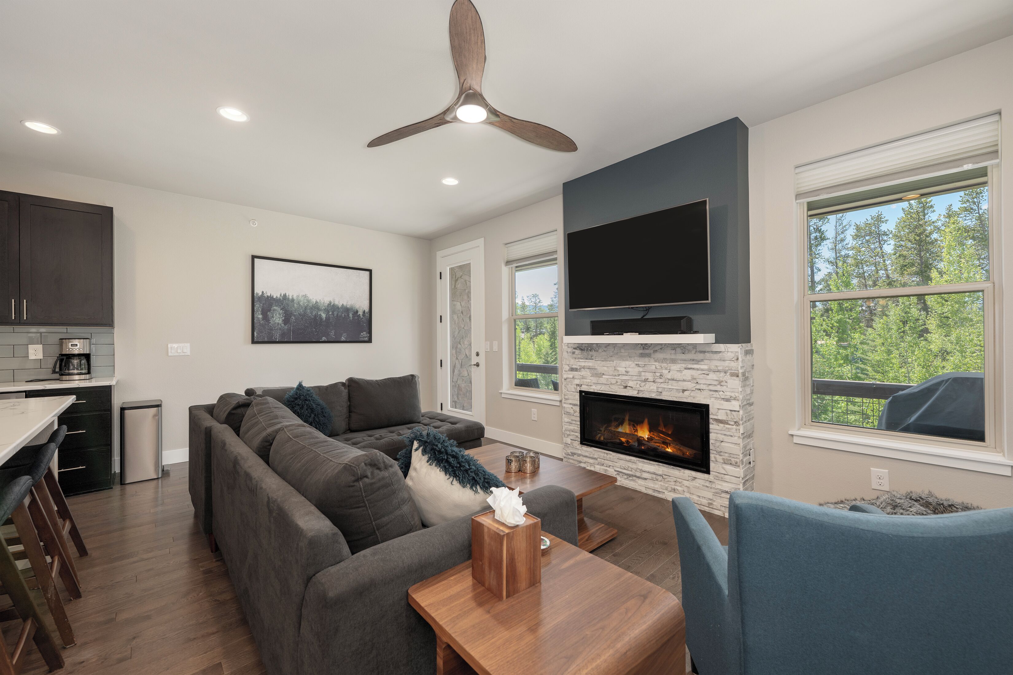 Smart TV, fireplace, Netflix, books