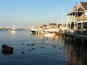 Marina - JUL-AUG AVAIL! Cute, Quiet, Centrally Located, Outdoor Shower, Large Yard, BBQ (Nantucket)