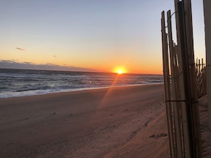 Beach nearby, sun-loungers, beach towels - JUL-AUG DISCOUNT! Cute, Quiet, Centrally Located, Outdoor Shower, Lrg Yard, BBQ (Nantucket)