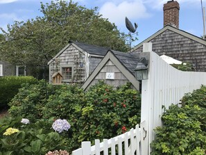 Property grounds - Cute, Quiet, Comfortable, Centrally Located, Outdoor Shower, Large Yard, BBQ (Nantucket)