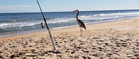 In Strandnähe, Liegestühle, Strandtücher