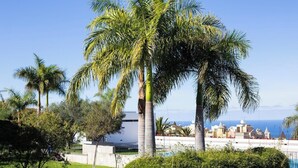 A coastal view with palm trees, a swimming pool, and buildings in the background. - Home2Book Design Santa Úrsula Pool & Wifi (Sta Úrsula)