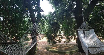 DER TRULLI DELLE FATE FUFFE