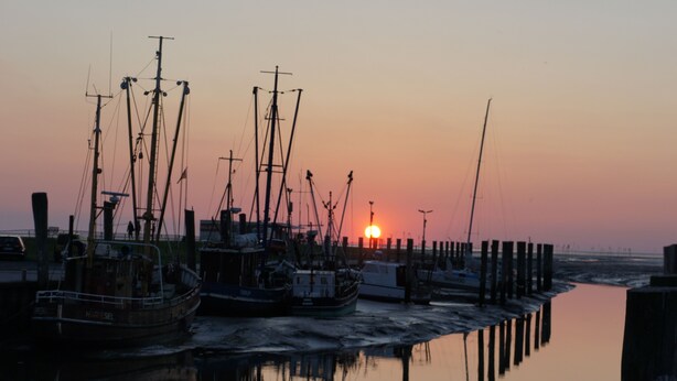 A marina with several boats docked at wooden piers during sunset.