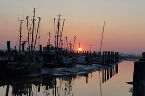 Marina - Comfy vacation home on the dike + Wi-Fi + pet-friendly (HS rentable Sat to Sat) (Wurster Nordseeküste)