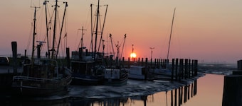 Peu coĂ»teux chalet spacieux sur la digue | enfants u. Animaux acceptĂ©s Ă partir de 49 âŹ