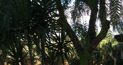 Rustic villa with private pool