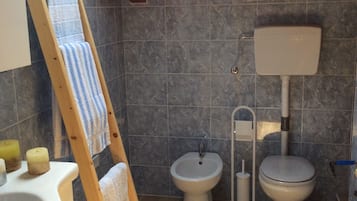 Ducha, secador de pelo, bidé y toallas