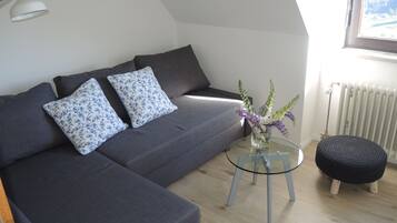 Fernseher, DVD-Player