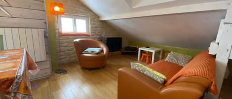 TV, fireplace, video games, DVD player