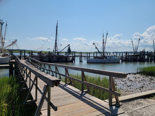  3 BR/2 Bath Historic District~ 7 Bl to Downtown~20 mins to BEACH/Pass INCL