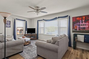 TV, DVD player, video library, stereo