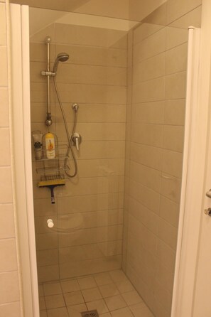 Dusche, Haartrockner, Bidet, Handtücher