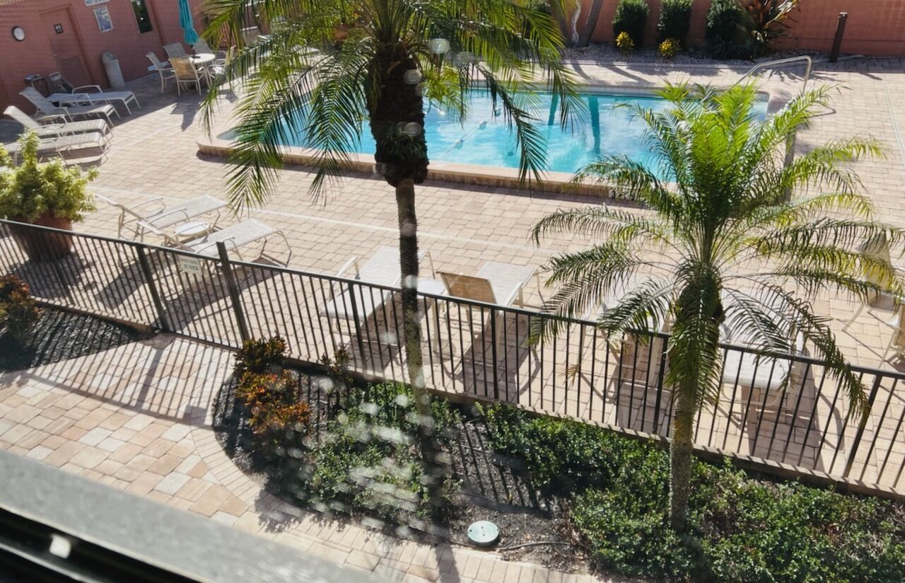 Ein Poolbereich mit Liegestühlen und Palmen.