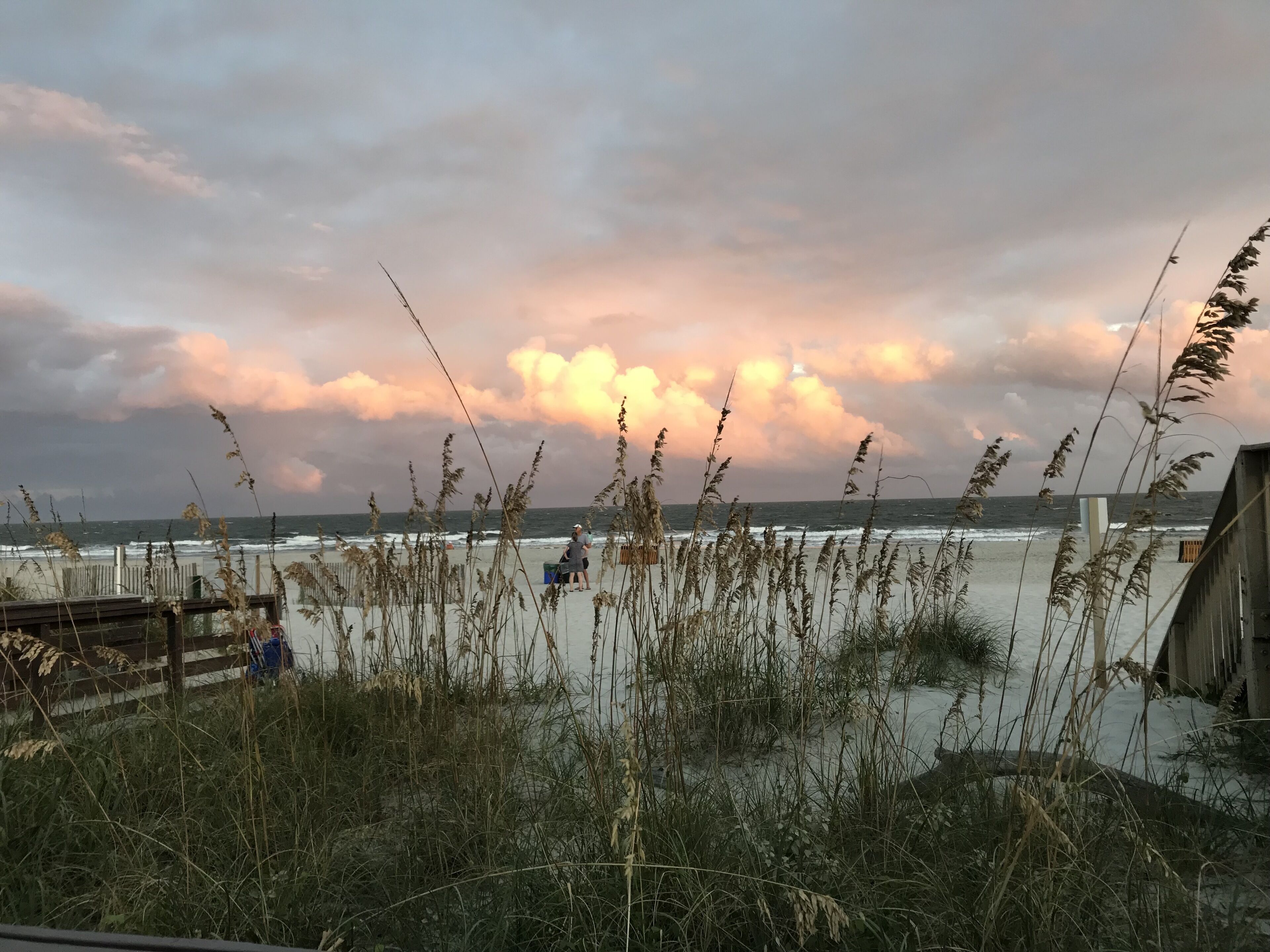 En strandutsikt med högt gräs i förgrunden, ett trästaket och havet i bakgrunden.
