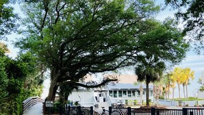 A large tree-lined pathway leading to a building with a covered porch. - Best Queens Grant location: easy walk to all amenities.   (Hilton Head Island)