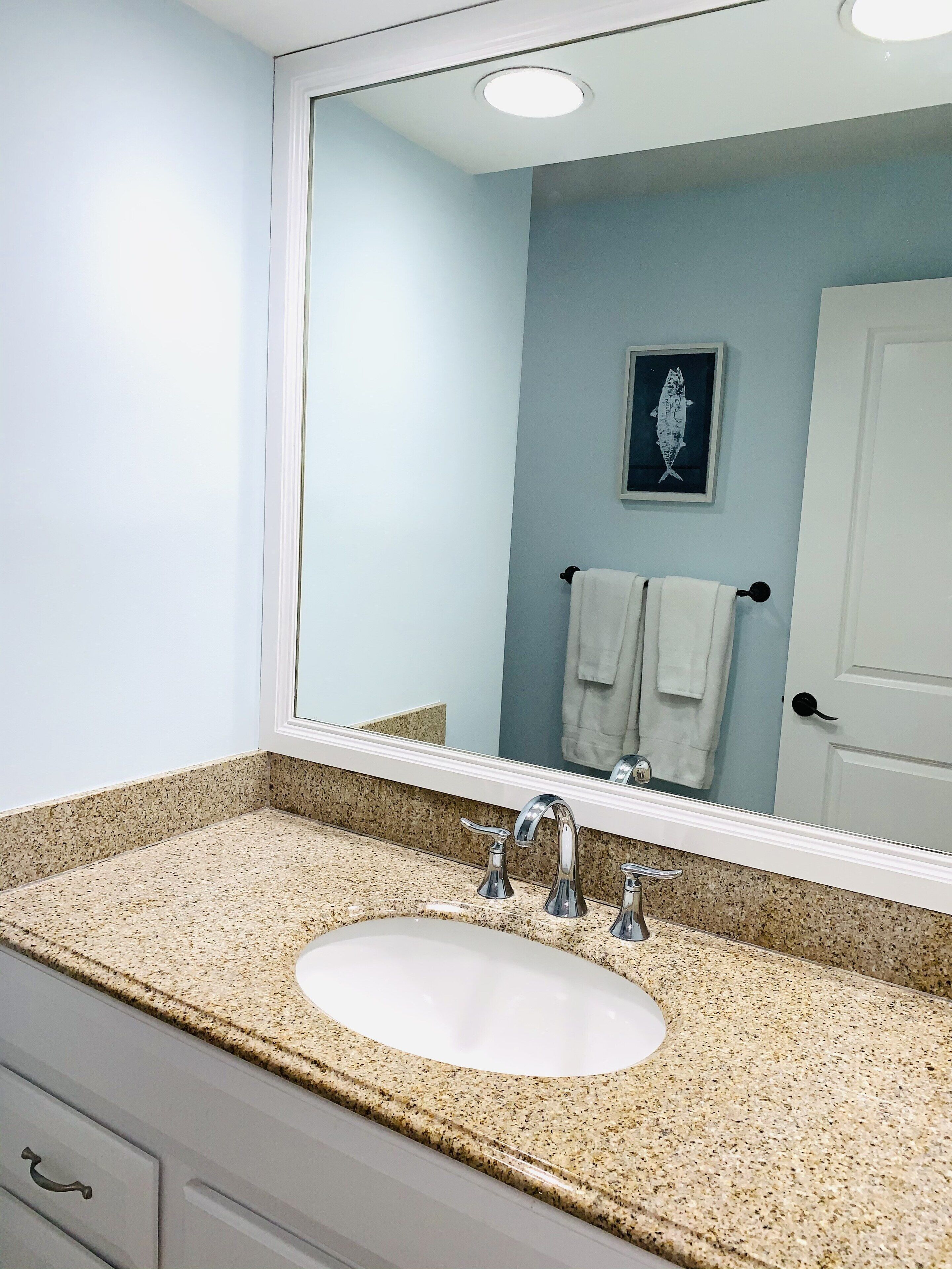 Une salle de bain avec un comptoir en granit, un lavabo blanc, un miroir et une œuvre d’art représentant un poisson, encadrée, accrochée au mur.