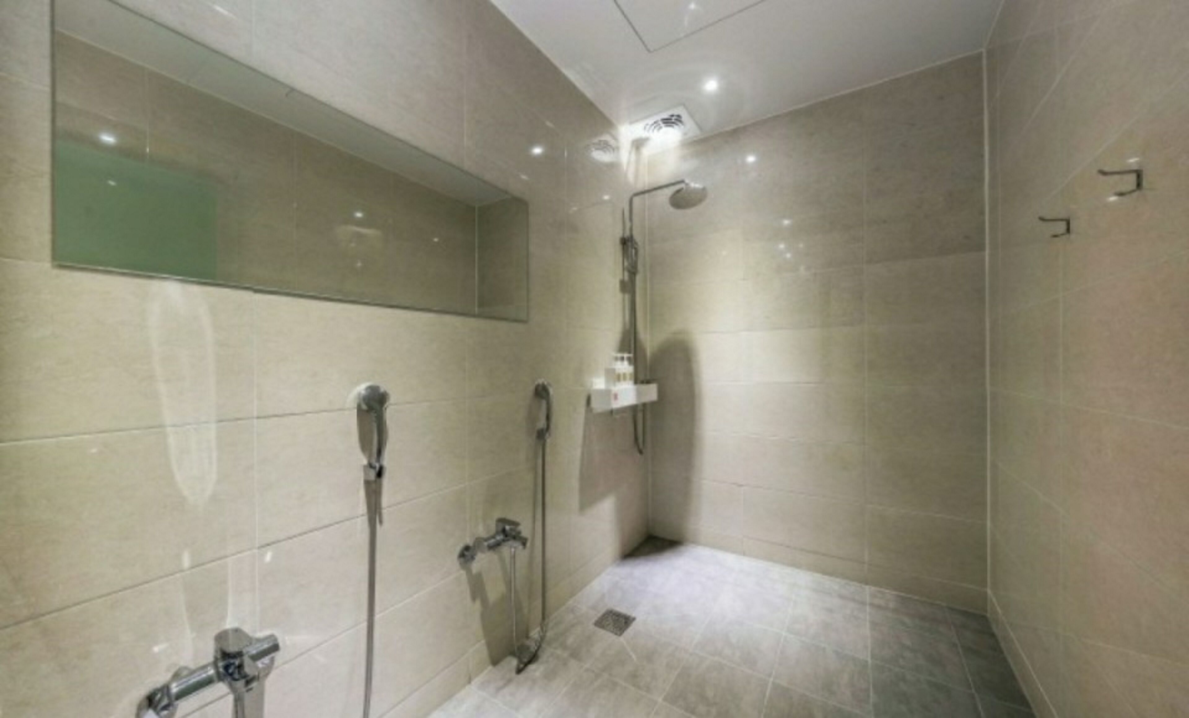 Une salle de bain moderne dotée d’une douche à l’italienne, d’un miroir fixé au mur et d’un pommeau de douche à main.