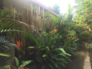 Exterior - Svaka Homestay (Ubud)
