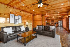TV, fireplace, video games