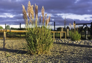 A gravel path with a grassy area and a wooden fence in the background. - Cabañas en Puerto Varas (Puerto Varas)