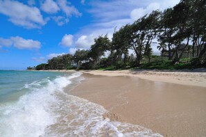 A beach with clear blue water, sandy shore, and trees. - Steps to Secluded Beach-Covered Deck-Grill-AC's-Fenced Covered Parking-Laundry (Hauula)