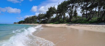 Steps to Secluded Beach-Covered Deck-Grill-AC's-Fenced Covered Parking-Laundry